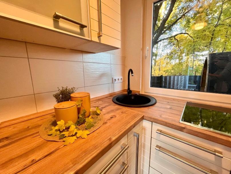 Ferienhaus Harzblick Meisdorf Ngoại thất bức ảnh